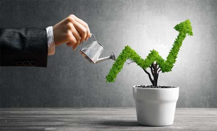 سرمایه گذاری