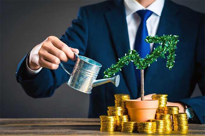 سرمایه گذاری