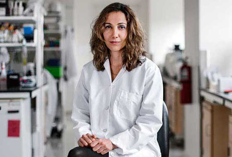 پردیس ثابتی